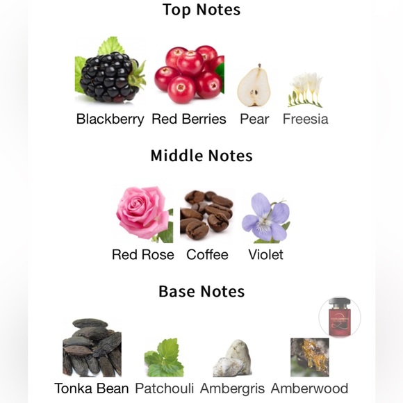 Brand New Dolce & Gabbana The Only One 2 EDP - Picture 3 of 7